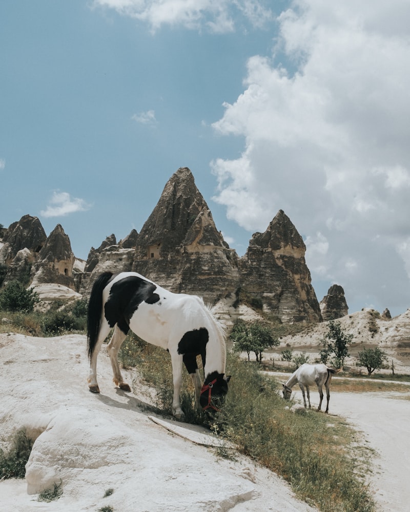 Kapadokya en iyi Kamp alanı 